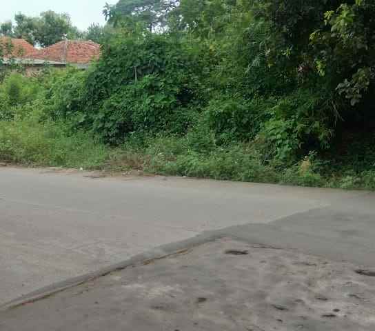 tanah kebun strategis pinggir jln raya