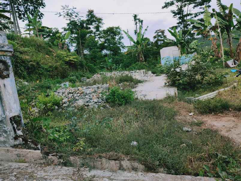 tanah kemuning ngargoyoso