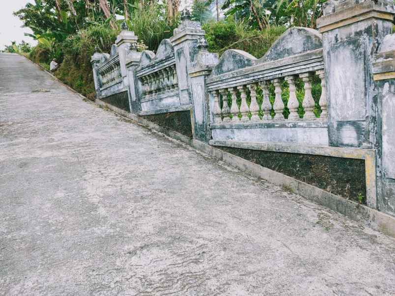 tanah kemuning ngargoyoso