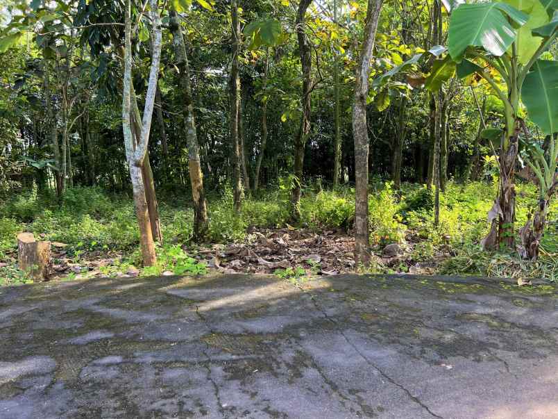 tanah kerjo karanganyar