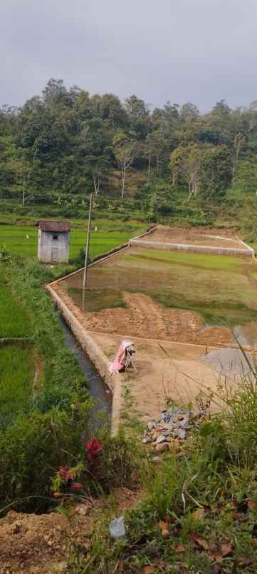 tanah lahan dijual 3 ha tawangmangu 775rb m2