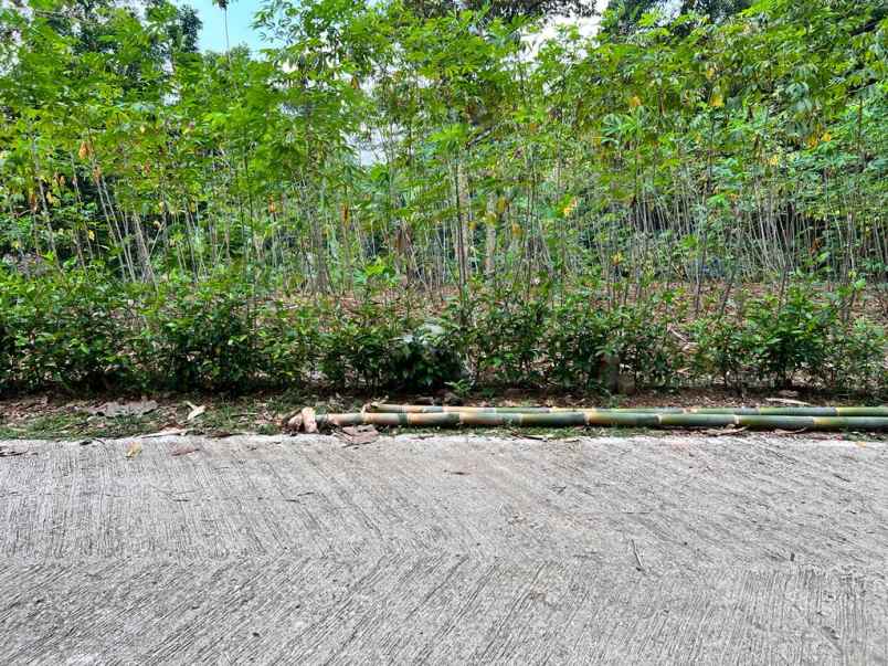 tanah mojogedang karanganyar