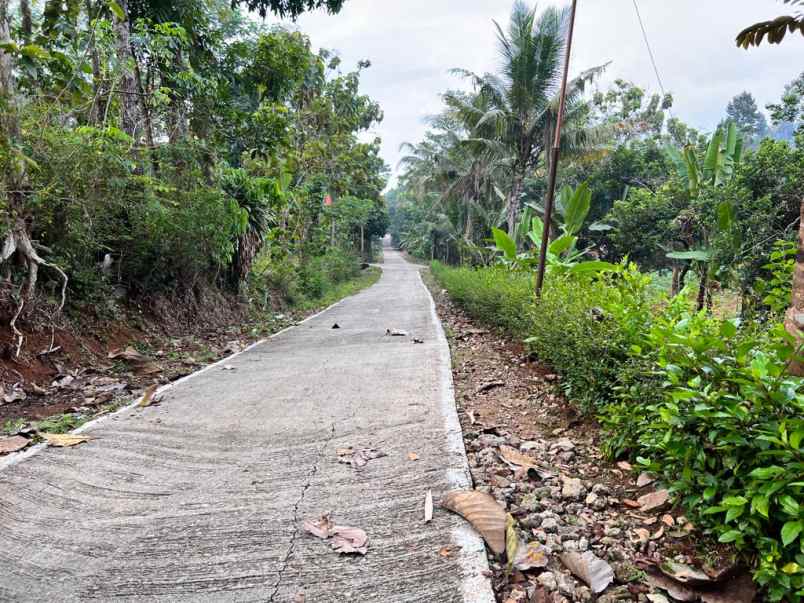 tanah mojogedang karanganyar