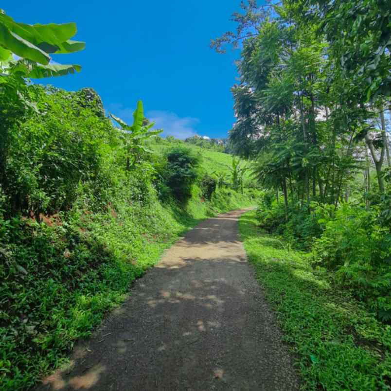 tanah murah dan lokasi strategis di bandung