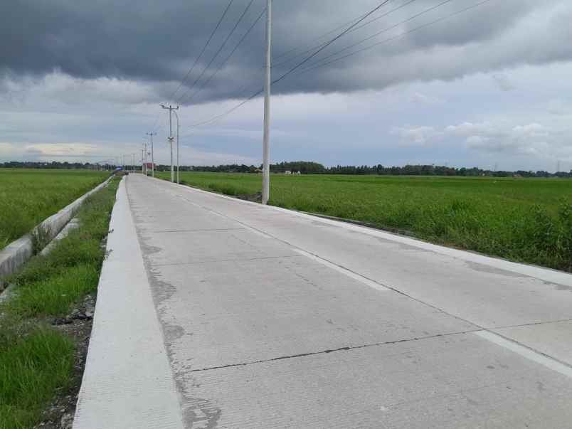 tanah murah pinggir jalan raya kilasah sawah luhur