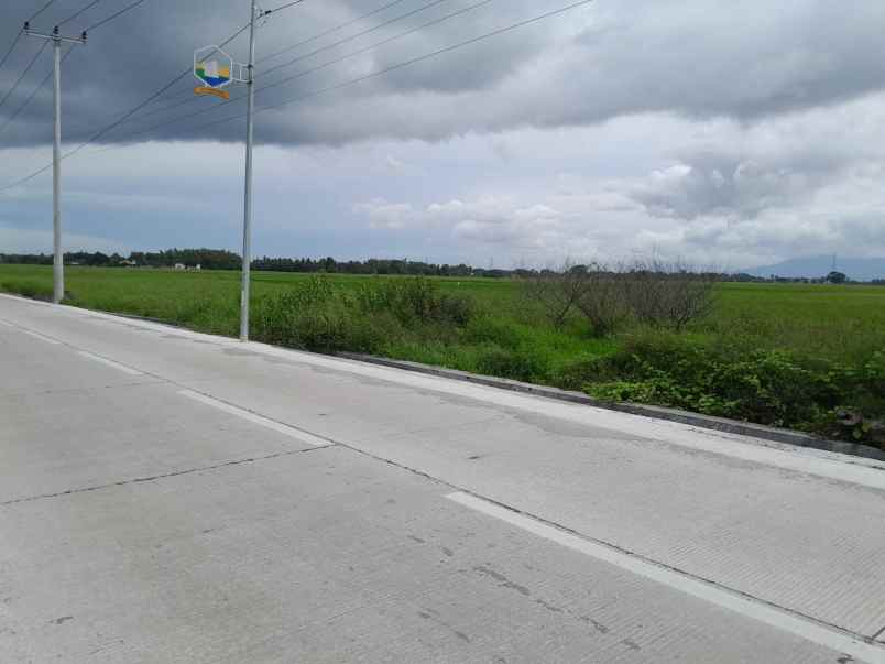 tanah murah pinggir jalan raya kilasah sawah luhur