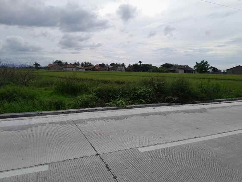tanah murah pinggir jalan raya kilasah sawah luhur
