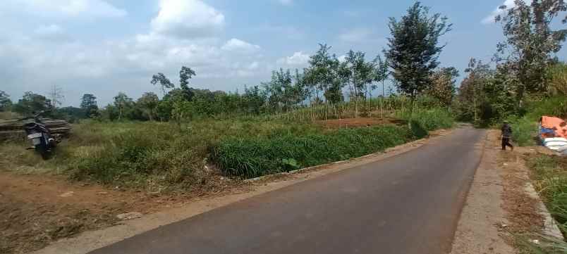 tanah murah shm pinggir jalan