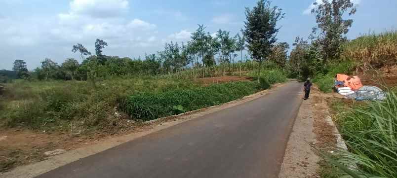 tanah murah shm pinggir jalan