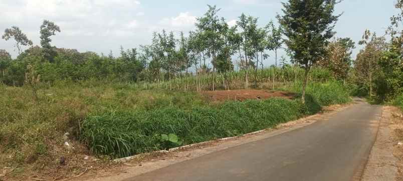 tanah murah shm pinggir jalan