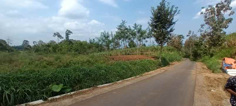 tanah murah shm pinggir jalan