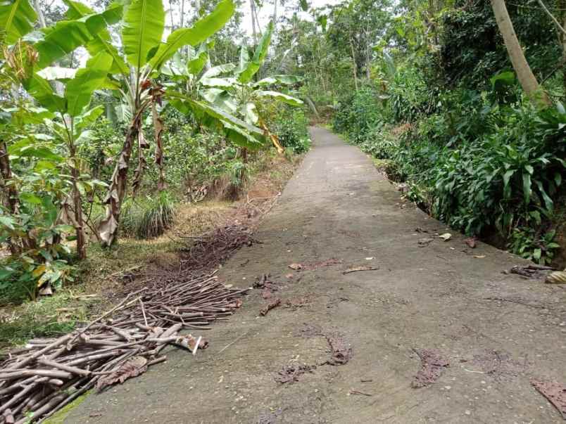 tanah ngargoyoso karanganyar