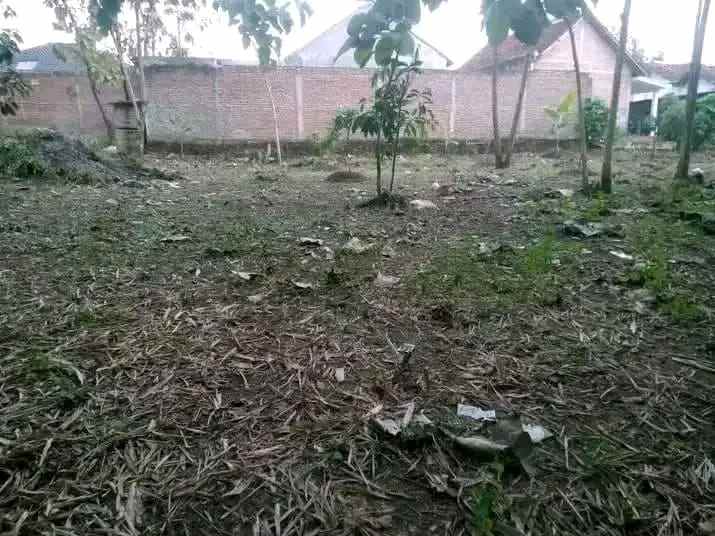 tanah pekarangan padat dan rata