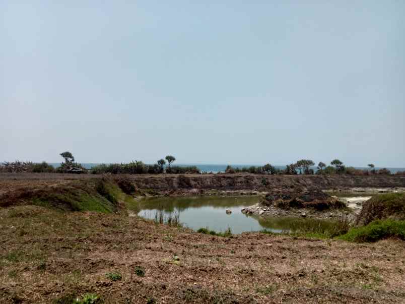 tanah pinggir pantai untuk tambak udang
