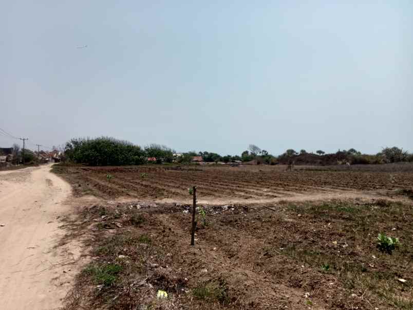 tanah pinggir pantai untuk tambak udang