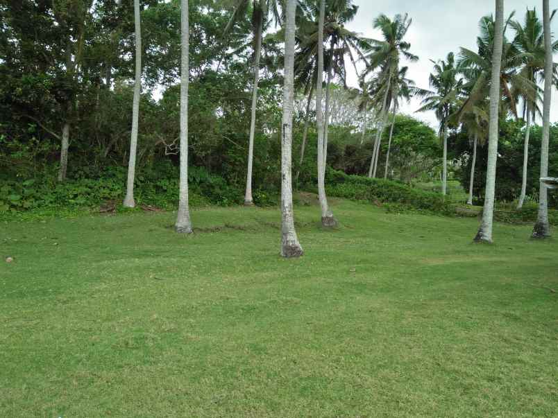 tanah selemadeg tabanan bali