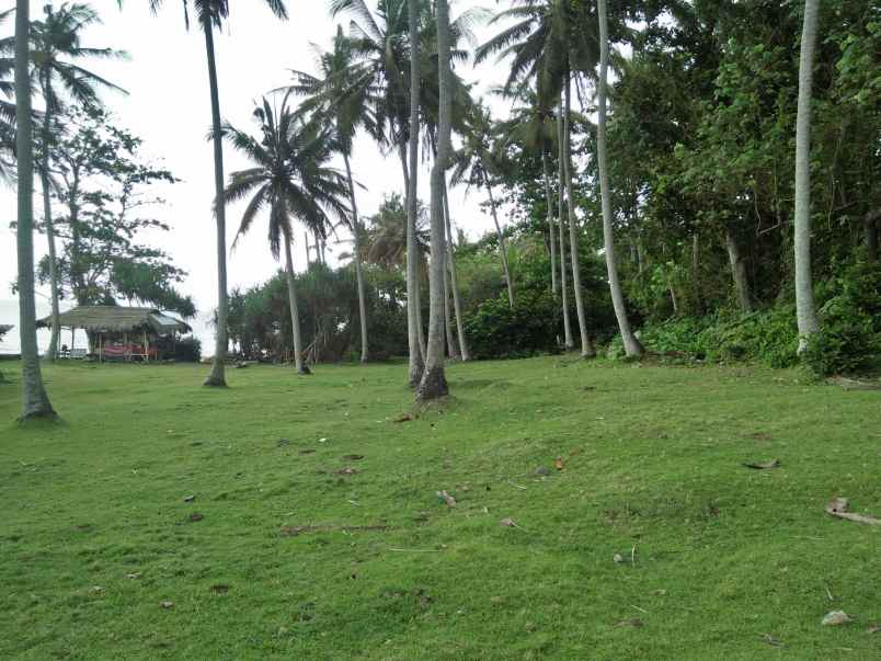 tanah selemadeg tabanan bali