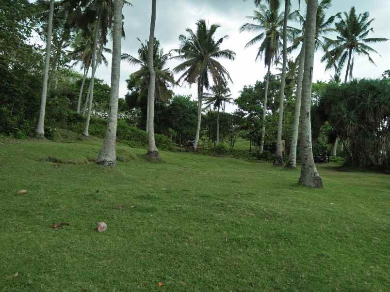 tanah selemadeg tabanan bali