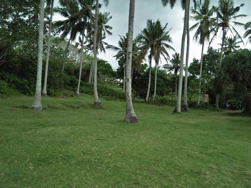 tanah selemadeg tabanan bali