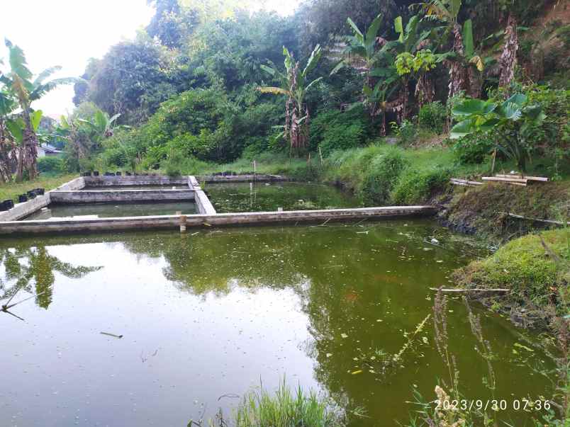 tanah siap bangun lokasi maribaya lembang