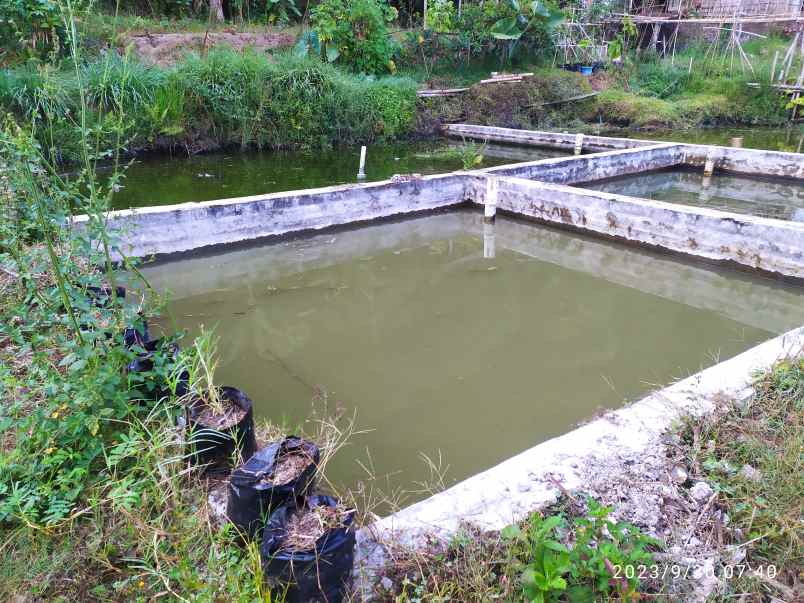 tanah siap bangun lokasi maribaya lembang