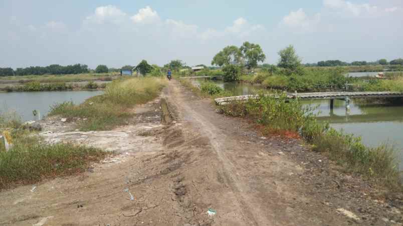 tanah tambak strategis dekat kota indramayu