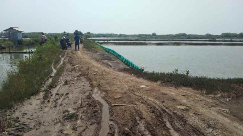 tanah tambak strategis dekat kota indramayu
