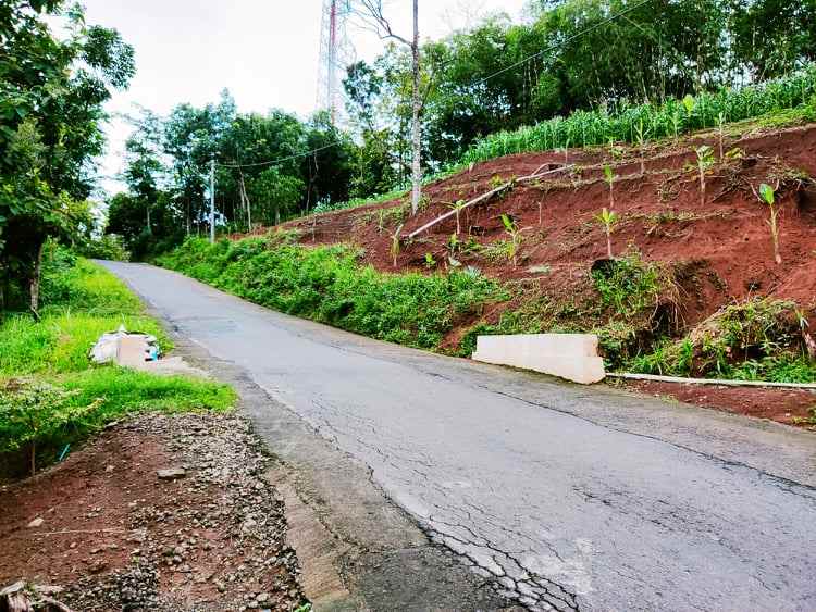 tanah tepi jl raya kerjo