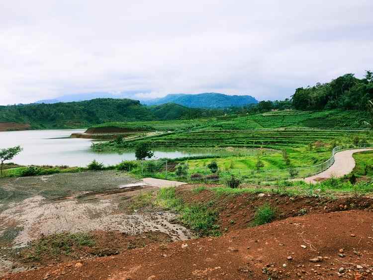 tanah tepi jl raya kerjo