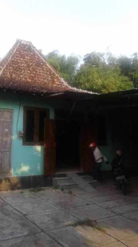 dekat kampus isi rumah joglo bangunjiwo jogja