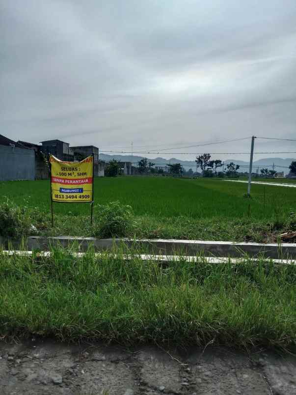 dijuak tanah sawah siap milik
