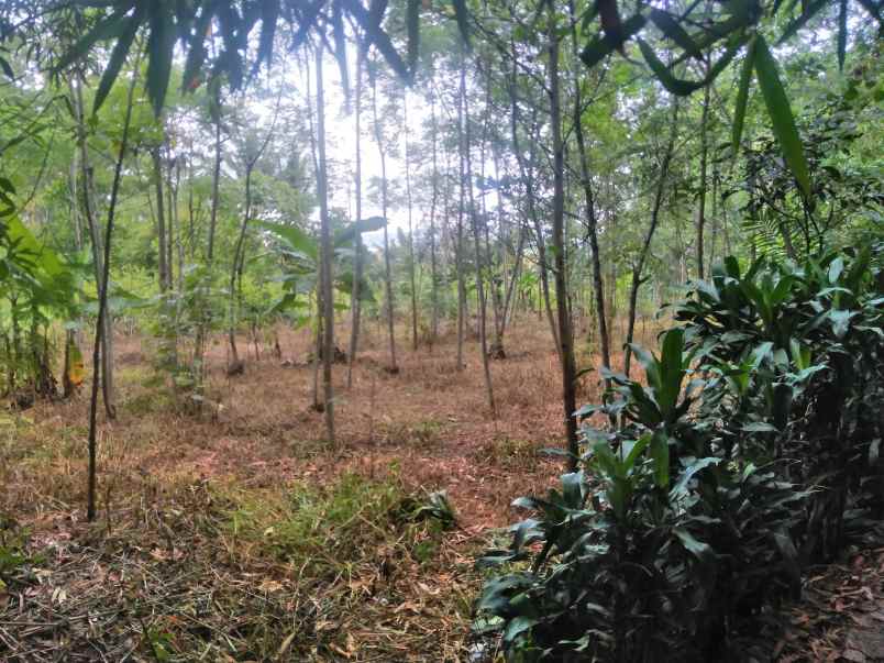 dijual cepat istimewa tanah khusus kavling2 gudang dll