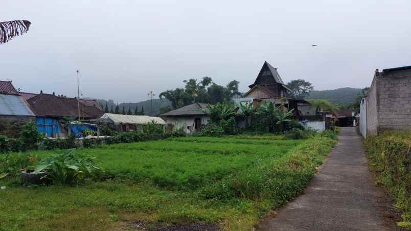 dijual cepat tanah di bedugul tabanan bali