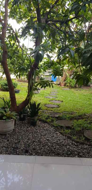 dijual kost darmo baru