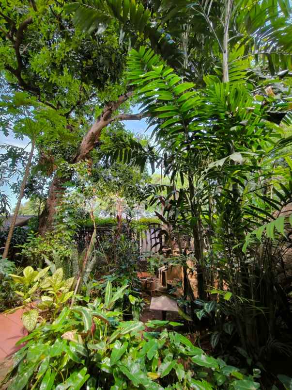 dijual rumah batu merah pejaten timur