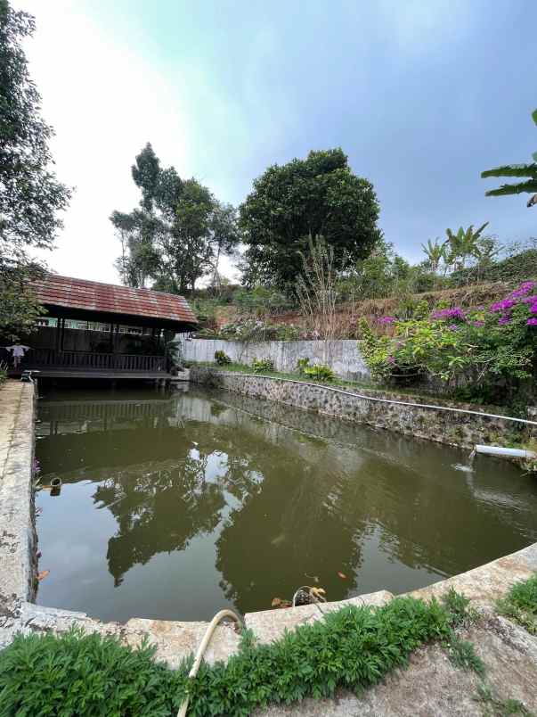 dijual rumah ciwidey