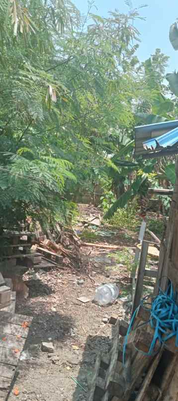 dijual rumah di woltermongensidi semarang