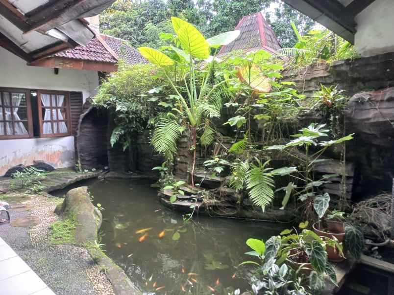 dijual rumah jl raya pajajaran sukasari