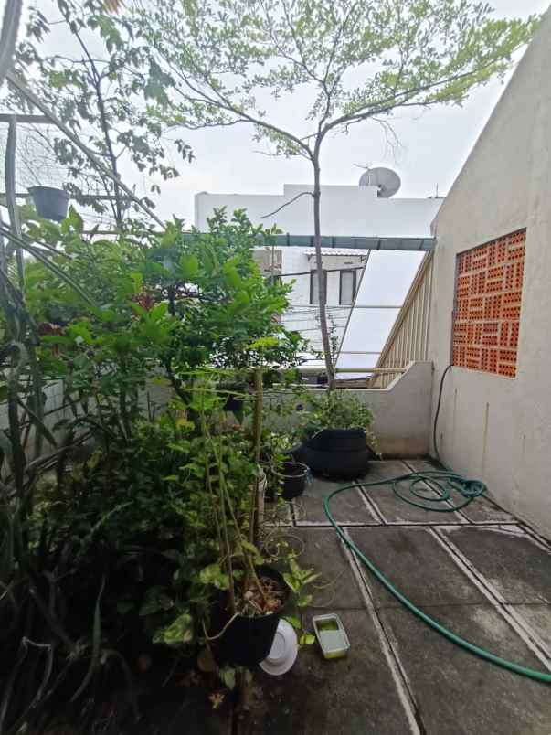 dijual rumah kalibaru timur v senen