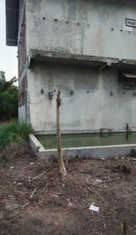 dijual rumah karanganyar