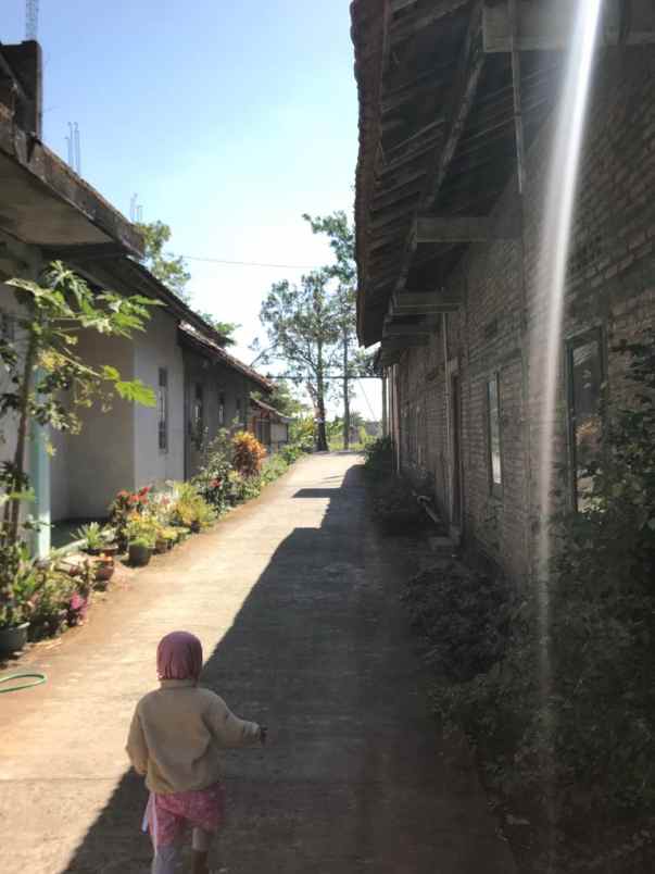 dijual rumah kec wates kab kulon progo diy