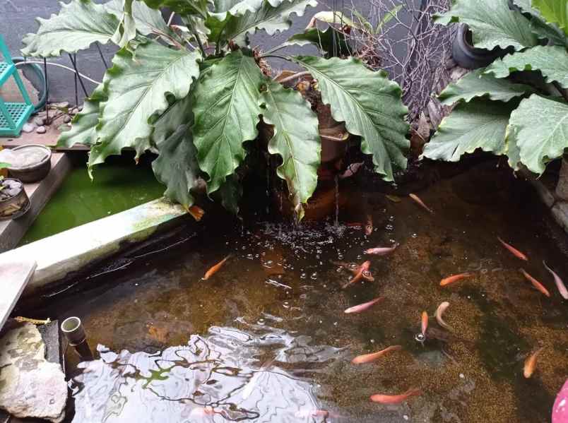dijual rumah komplek kalijati jl