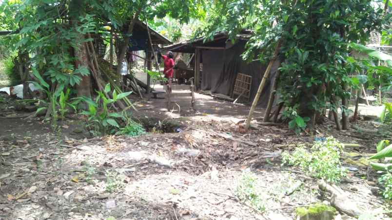 dijual tanah bambanglipuro bantul