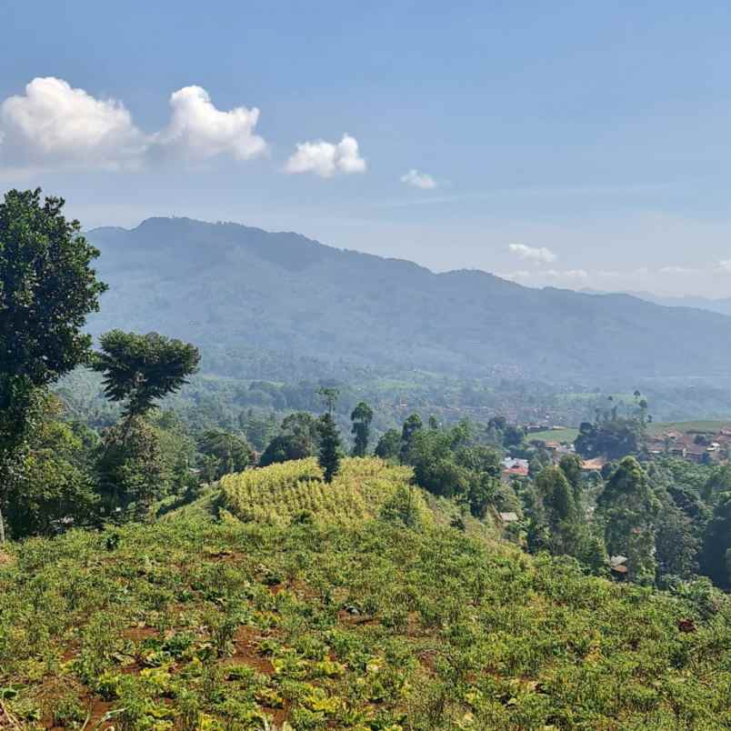 dijual tanah bandung pangalengan