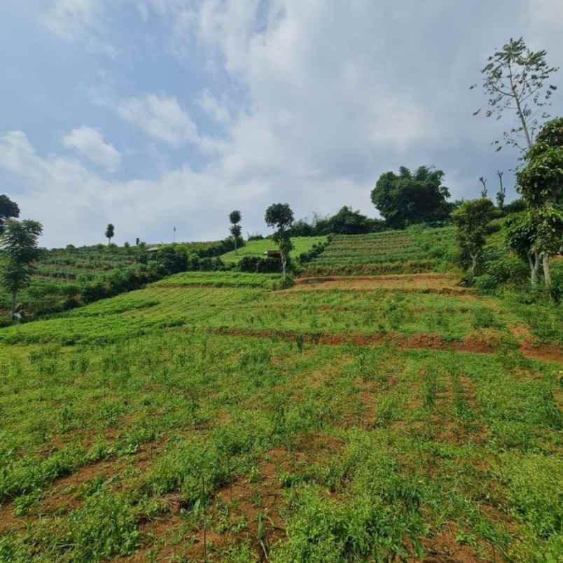 dijual tanah bandung pangalengan
