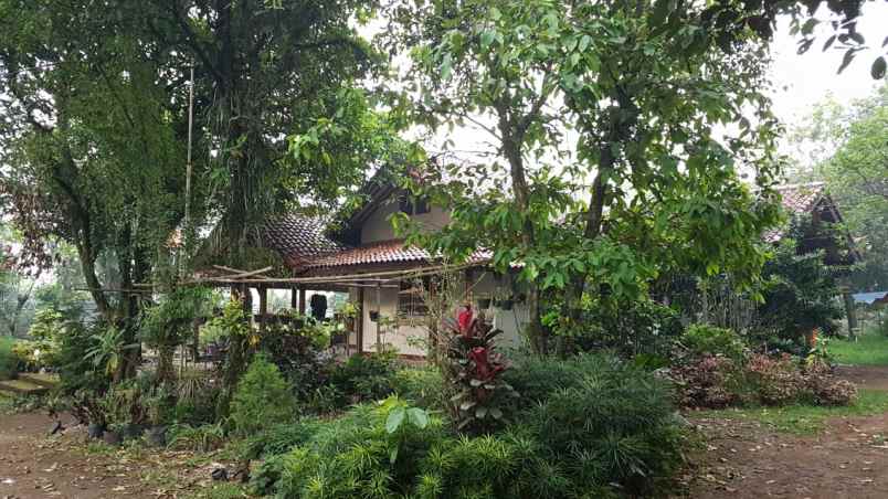 dijual tanah bonus rumah