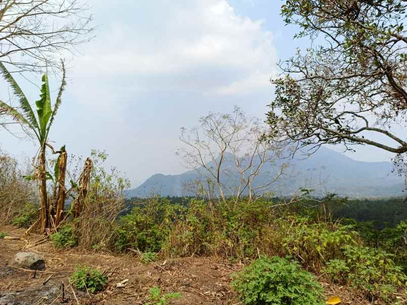 dijual tanah cembor 1