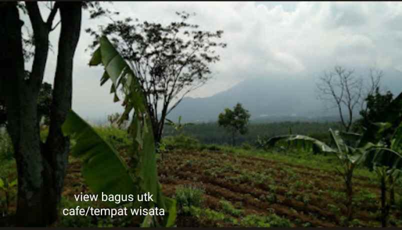 dijual tanah cembor 1