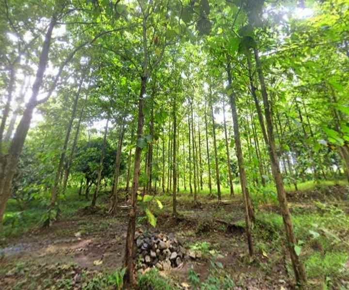 dijual tanah ciawi gebang kuningan