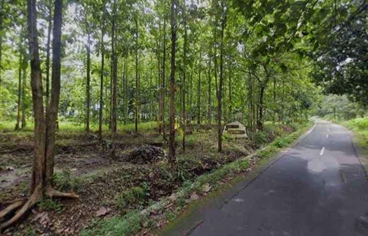 dijual tanah ciawi gebang kuningan